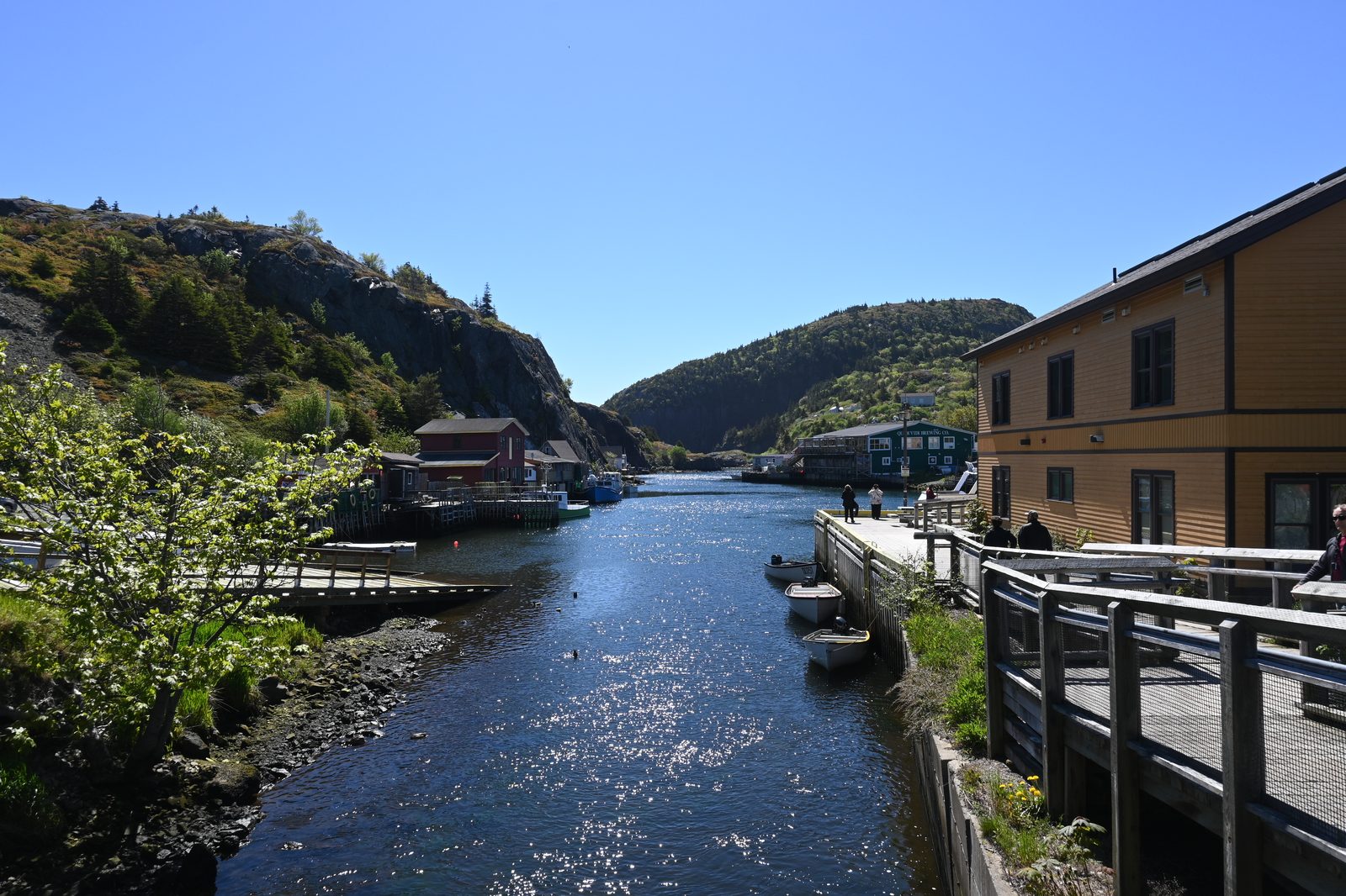 DSC_6607.JPG